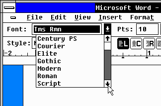 Fonts menu populated with common fonts.